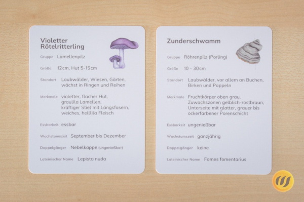 steck_pilze_druck4