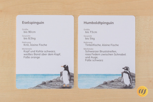 steckbrief_pinguin_druck4_1590462297