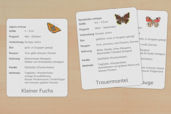 Download-Paket: Heimische Schmetterlinge