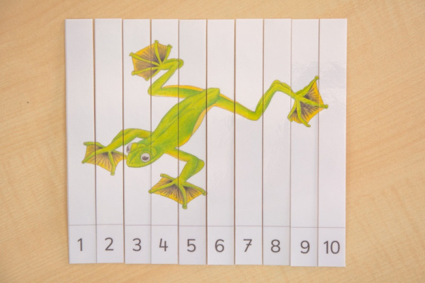 Tiere Asiens Streifen-Puzzle (Download)