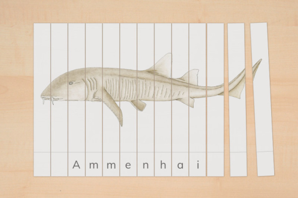 streifenpuzzle_haie3