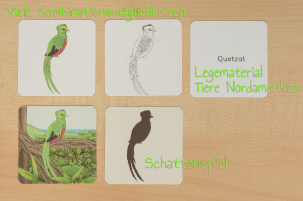 tiere_na_erweiterung
