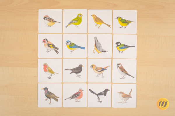 vogelwerkstatt6