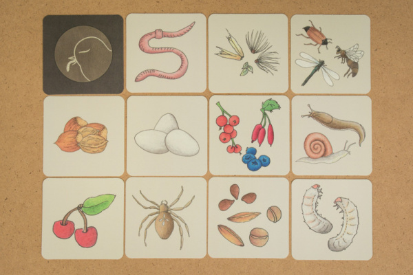 w_voegel_druck_10