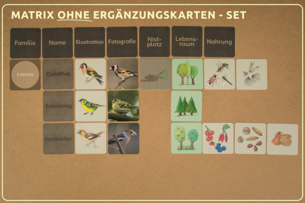w_voegel_druck_erg_1_b