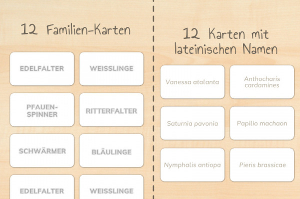 werkstatt_schmetterlinge_download5