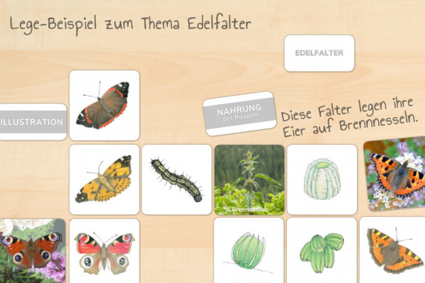 werkstatt_schmetterlinge_download7