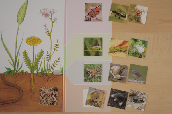 wiese_stockwerke_bewohner2