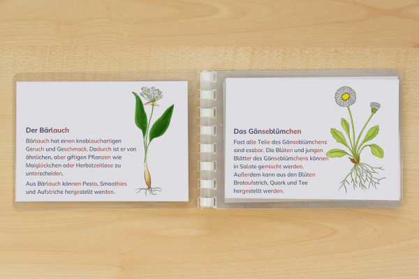 wildkraeuter_leseheft_silben1