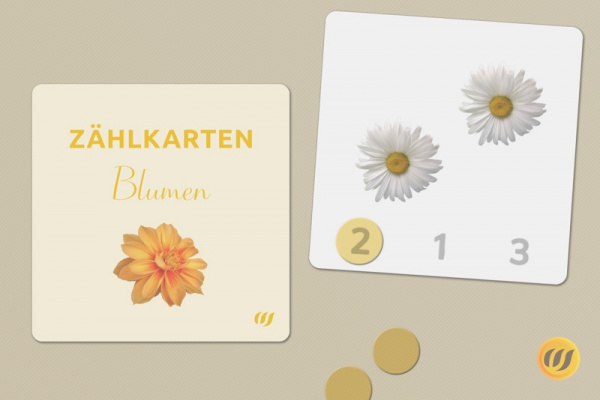 Paket: Zählkarten