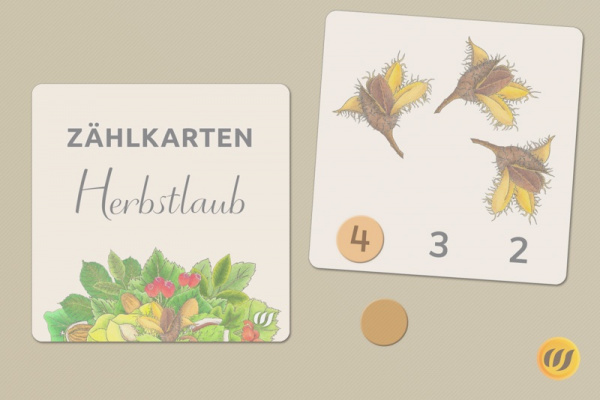 Paket: Zählkarten