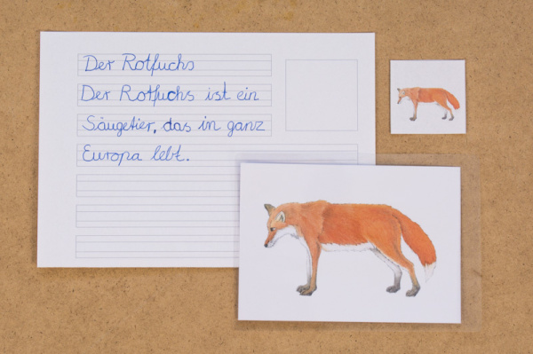 abschreibekartei_tiere_europa1