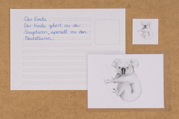 abschreibekartei_tiere_oz1