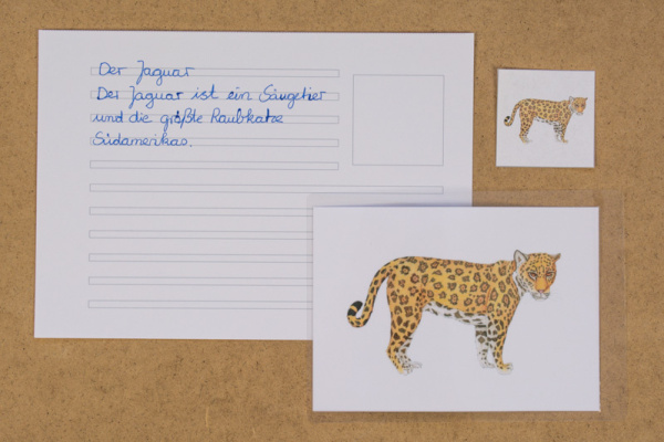 abschreibekartei_tiere_sa1