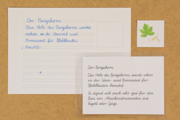 abschreibkartei_laub2