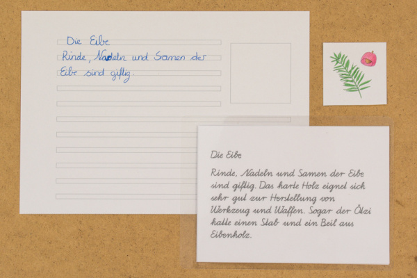 abschreibkartei_nadel2