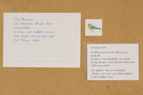 abschreibkartei_voegel2