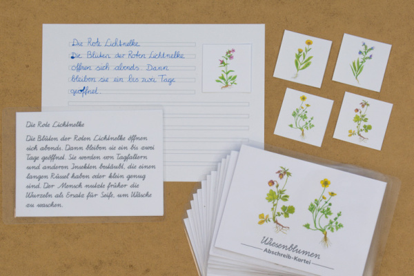 abschreibkartei_wiesenblumen_titel