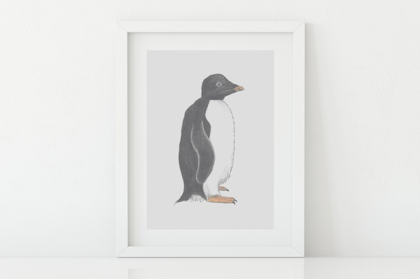 Adeliepinguin A5