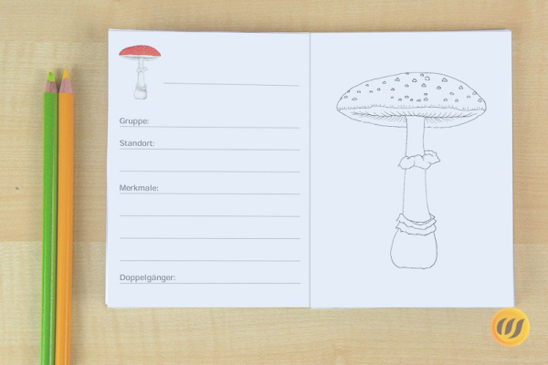 Download-Paket: Pilze