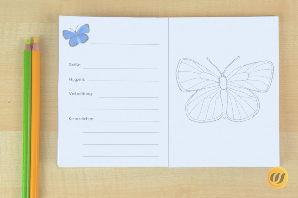 Download-Paket: Heimische Schmetterlinge