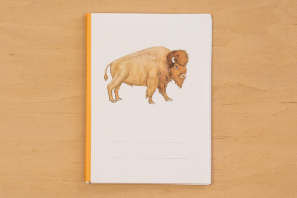 Download-Paket: Tiere Nordamerikas
