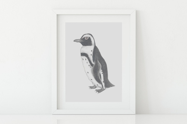 brillenpinguin2