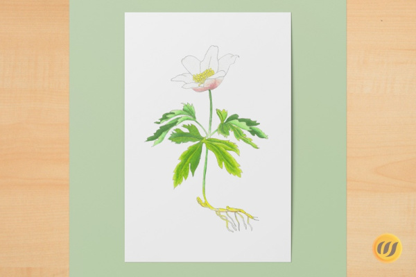 Digitaler Kunstdruck A6