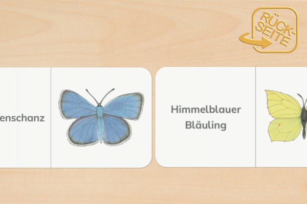 domino_schmetterling_2