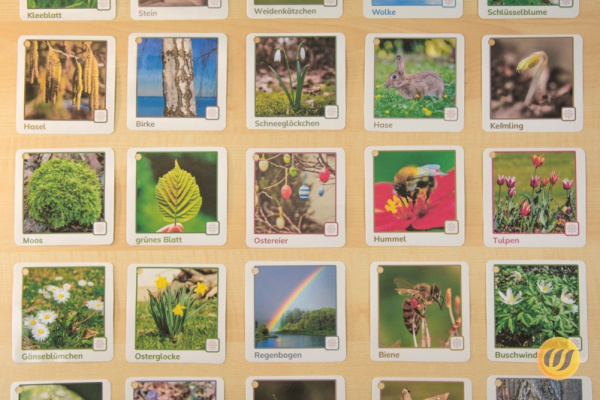 ek_fruehling_12