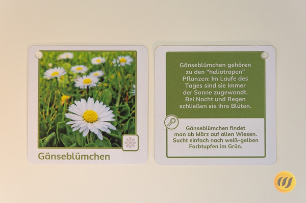 Im Frühling - 30 Entdeckerkarten mit Suchtipps und Gesprächsstarter (3.Auflage)