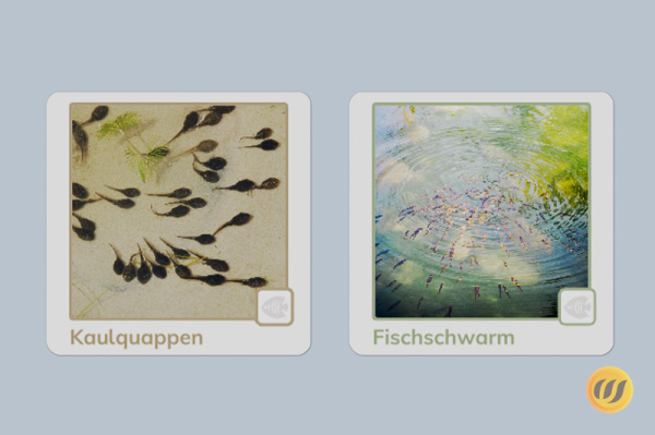 ek_wasser_2