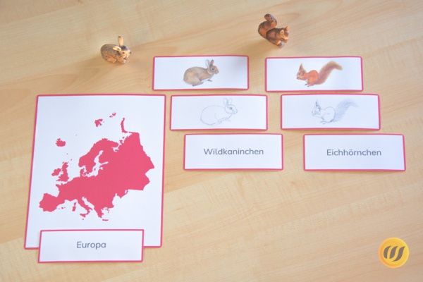 europa_tiere_kont8