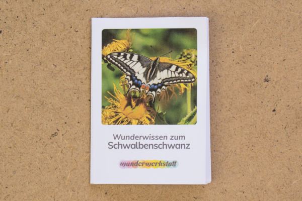 faltbuechlein_schwalbenschwanz
