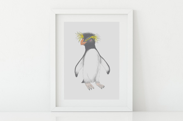 felsenpinguin2