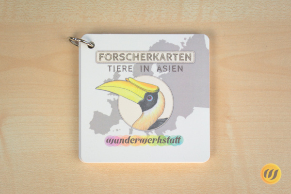 Kontinentenkiste Asien