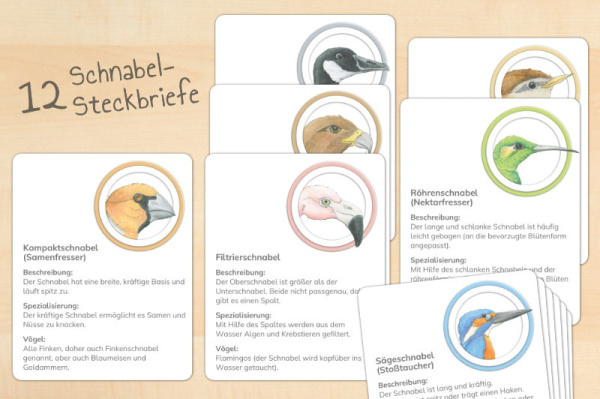 (Download - Deutsch)