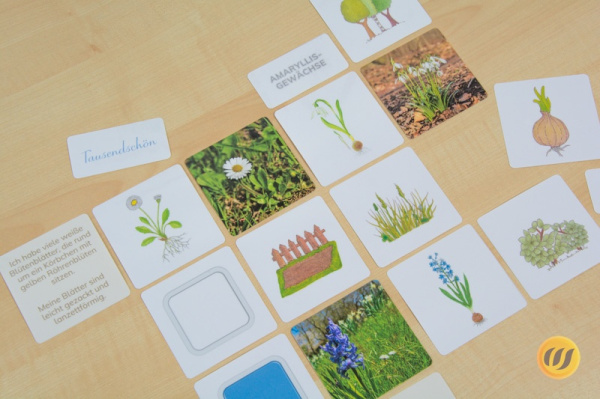 fruehblueher_werkstatt13