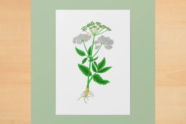 Digitaler Kunstdruck A6