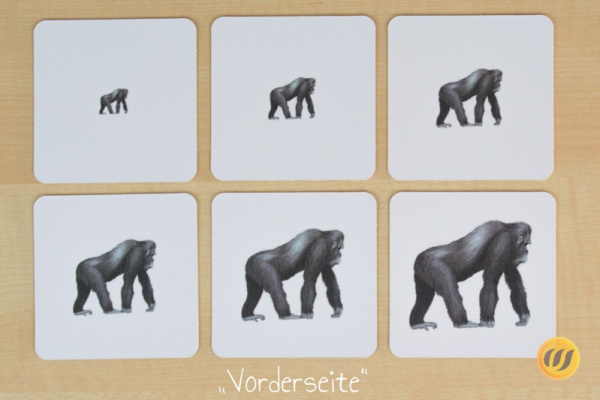 groessen_afrika_druck8