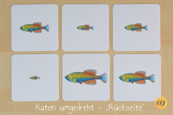 groessen_afrika_druck9