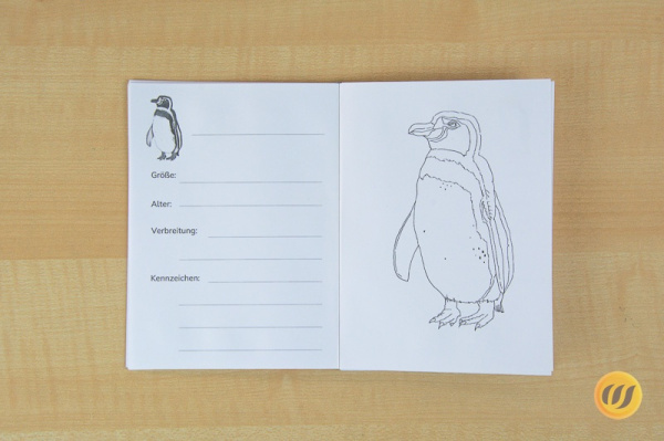heft_pinguine_innen