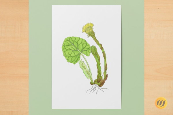 Digitaler Kunstdruck A6