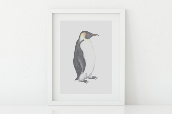 Kaiserpinguin A5