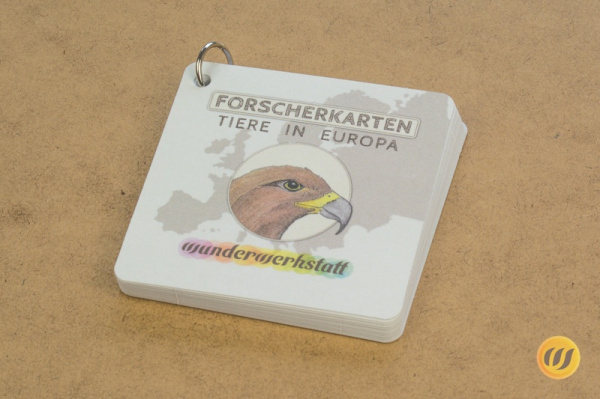 konti_europa_forscher2