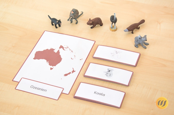 Download-Paket: Tiere Ozeaniens