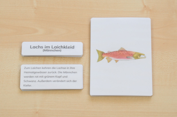 (Deutsch - ohne Rahmen - Download)