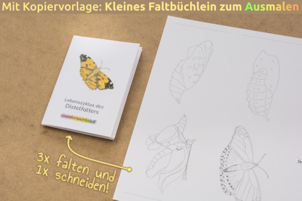 (Deutsch - Profidruck - 2fach differenziert)