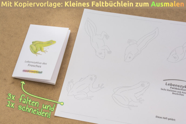 (Deutsch - ohne Rahmen - Download)