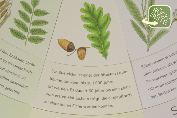 legekreis_laub_druck10
